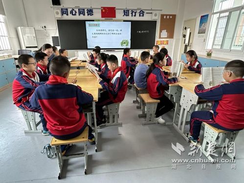 江夏区特殊教育学校迎来专家 把脉